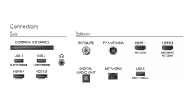 Philips-oled848-connections.png