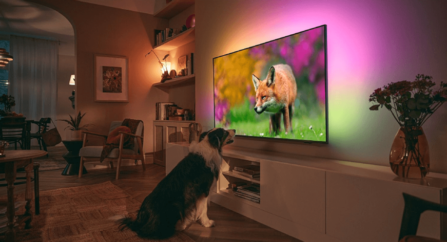 Philips The One 55PUS8508 - Ambilight (2023)