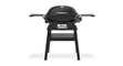 Weber-Q-2200N-met-stand.png