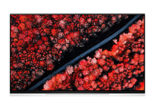 LG-OLED-E9-1.png