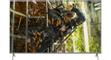 Panasonic-55GXW904-PlatteTV-nl-5.png