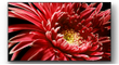 Sony-KD-65XG8599-PlatteTV-nl-5.png