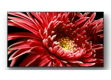 Sony-KD-65XG8599-PlatteTV-nl-5.png