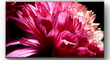 Sony-KD-85XG9505-PlatteTV-nl-6.png