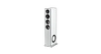 Definitive-Technology-Demand-D15-Linkerspeaker-wit.png
