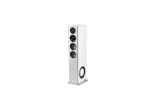Definitive-Technology-Demand-D15-Linkerspeaker-wit.png