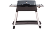 Everdure-Furnace-Grijs-allesvoorbbq-1.jpg