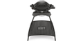 Weber-Q-1000-met-stand-Zwart.jpg