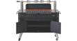 everdure-hub-2022-allesvoorbbq-1.jpg