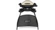 weber-q1000-allesvoorbbq-1.jpg